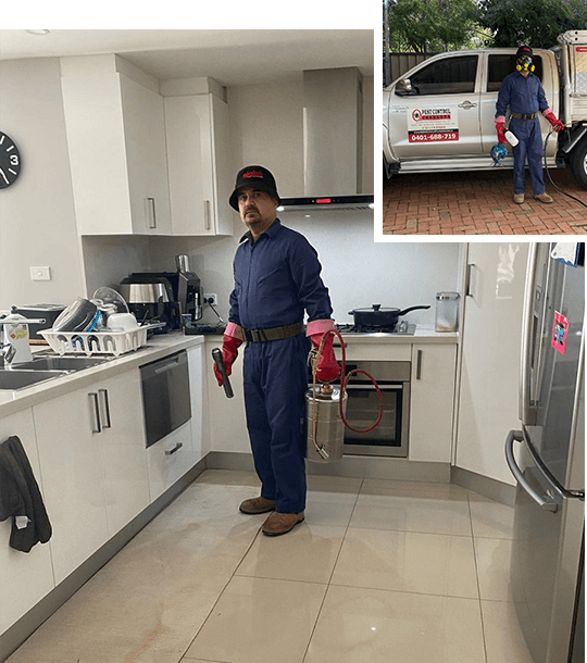 Pest Control Canberra