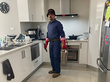 pest control canberra