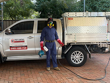 pest control canberra