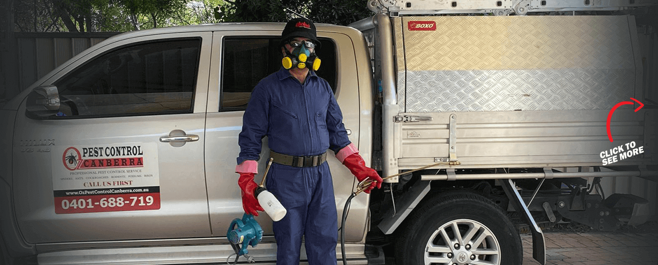 OZ Pest Control Canberra Canberra Pest Control
