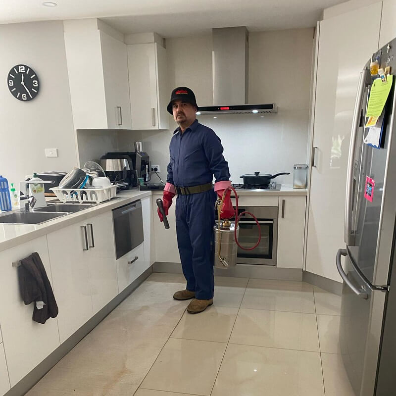 pest control canberra